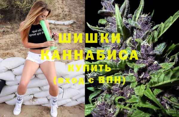 индика Бугульма